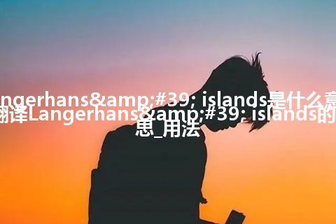 Langerhans' islands是什么意思_翻译Langerhans' islands的意思_用法