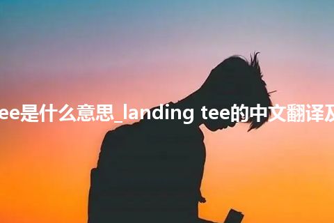 landing tee是什么意思_landing tee的中文翻译及用法_用法