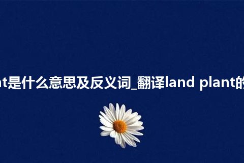land plant是什么意思及反义词_翻译land plant的意思_用法