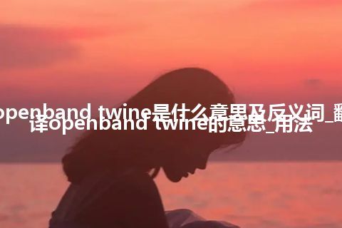 openband twine是什么意思及反义词_翻译openband twine的意思_用法