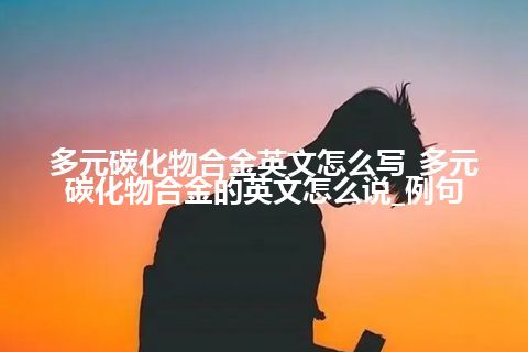 多元碳化物合金英文怎么写_多元碳化物合金的英文怎么说_例句