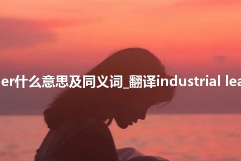 industrial leather什么意思及同义词_翻译industrial leather的意思_用法