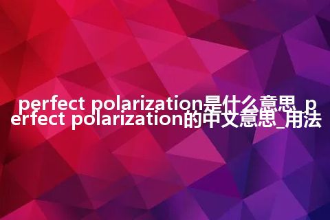 perfect polarization是什么意思_perfect polarization的中文意思_用法