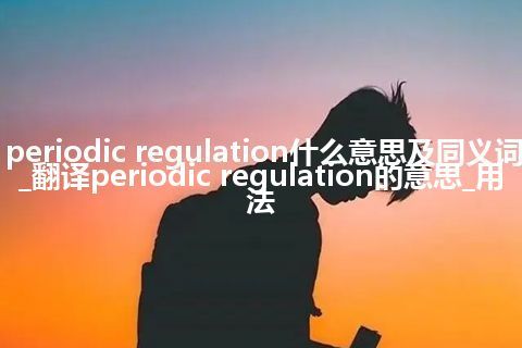 periodic regulation什么意思及同义词_翻译periodic regulation的意思_用法