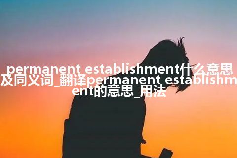 permanent establishment什么意思及同义词_翻译permanent establishment的意思_用法