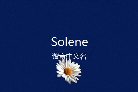 英文名Solene的谐音中文名